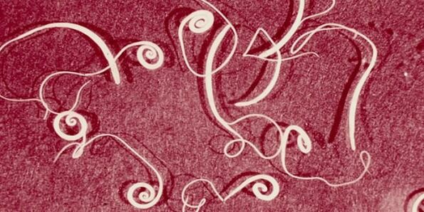 fotografie lidských parazitů